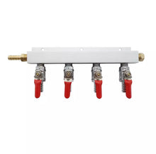 Load image into Gallery viewer, 4 OUTPUT / 4 WAY GAS LINE MANIFOLD SPLITTER WITH CHECK VALVES - KEGWERKS.IN