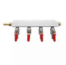 Load image into Gallery viewer, 4 OUTPUT / 4 WAY GAS LINE MANIFOLD SPLITTER WITH CHECK VALVES - KEGWERKS.IN